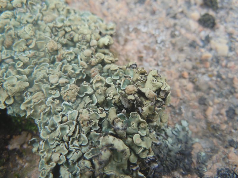 ..su masso granitico